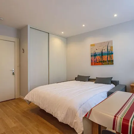 Apartment Studio Renove Avec Parking Et Wi-fi, Centre Saint-jean-de-luz, Plage A Proximite - Fr-1-4-700